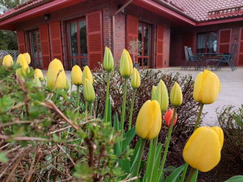 Port Jeziorak Bed and Breakfast Iława Εξωτερικό φωτογραφία